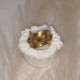 EVAMON  STARSSY RING 