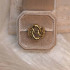 EVAMON  PICK RING