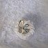 EVAMON  ALEXANDRIA RING