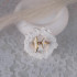 EVAMON  ΤWO WHITE RING